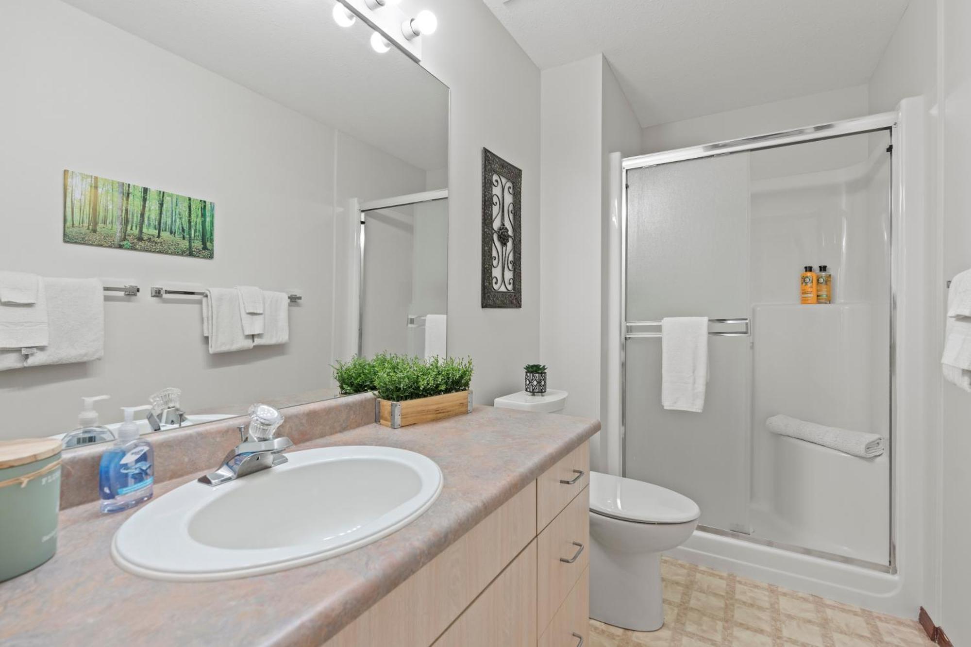 Apartment Silver Peaks Silver Star